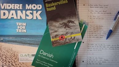 Aprender danés en una escuela de danés en Dinamarca
